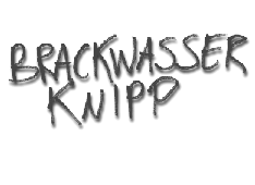 brackwasser knipp
